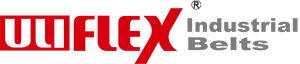 LOGO300